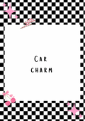 Car Charm